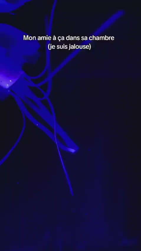 Lampe Méduse LED JellyStore